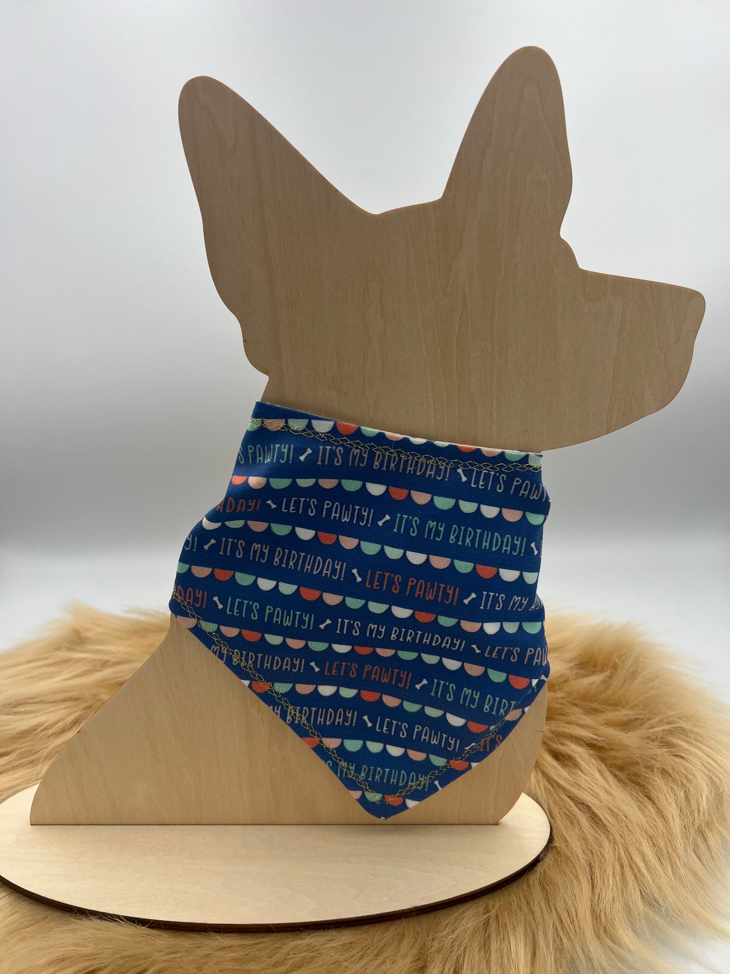 Barkday Boy